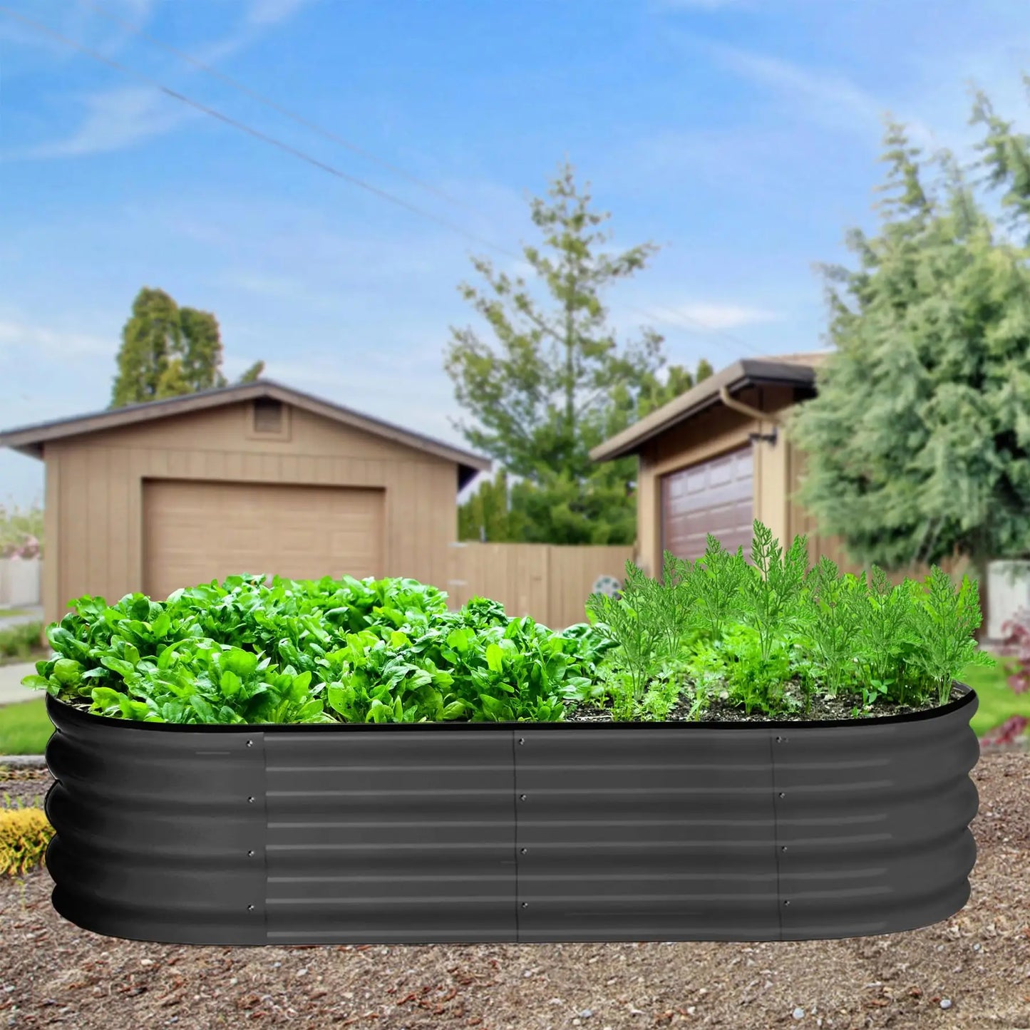 2-Pack Oval Galvanized Steel Raised Garden Bed – Anti-Rust Metal Planter Box for Vegetables, Herbs & Flowers - Flexivo