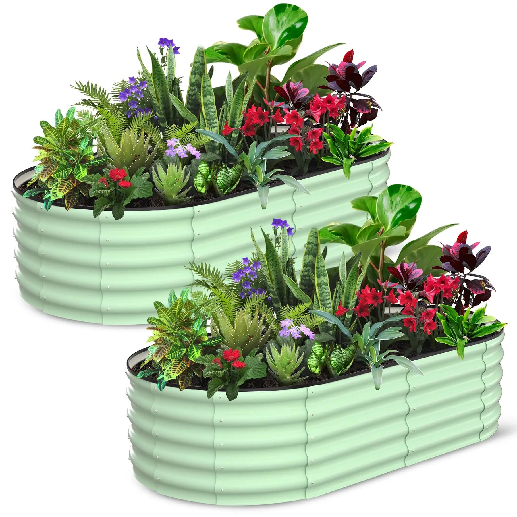 2-Pack Oval Galvanized Steel Raised Garden Bed – Anti-Rust Metal Planter Box for Vegetables, Herbs & Flowers - Flexivo