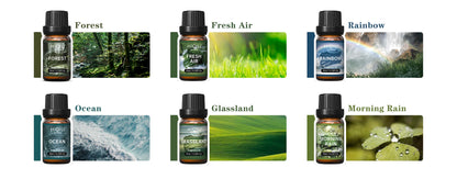 HIQILI Nature-Inspired Fragrance Oil Set - 6 Premium Scents for Aromatherapy, Diffusers, Humidifiers & Candles (10ml)