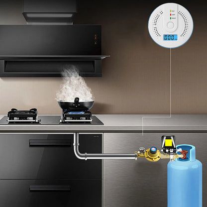 Digital Carbon Monoxide Detector with LED Display & Sound Alarm - Battery Powered CO Monitor