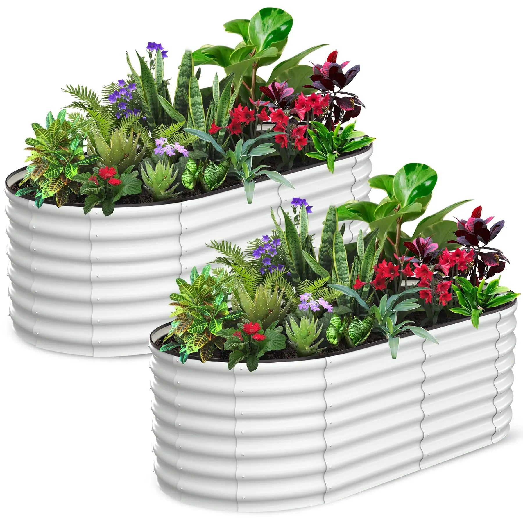 2-Pack Oval Galvanized Steel Raised Garden Bed – Anti-Rust Metal Planter Box for Vegetables, Herbs & Flowers - Flexivo