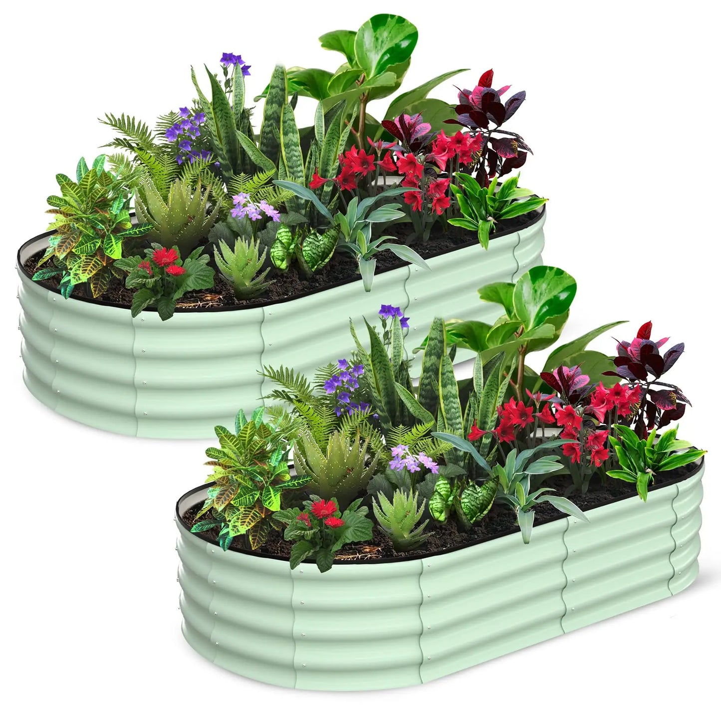 2-Pack Oval Galvanized Steel Raised Garden Bed – Anti-Rust Metal Planter Box for Vegetables, Herbs & Flowers - Flexivo