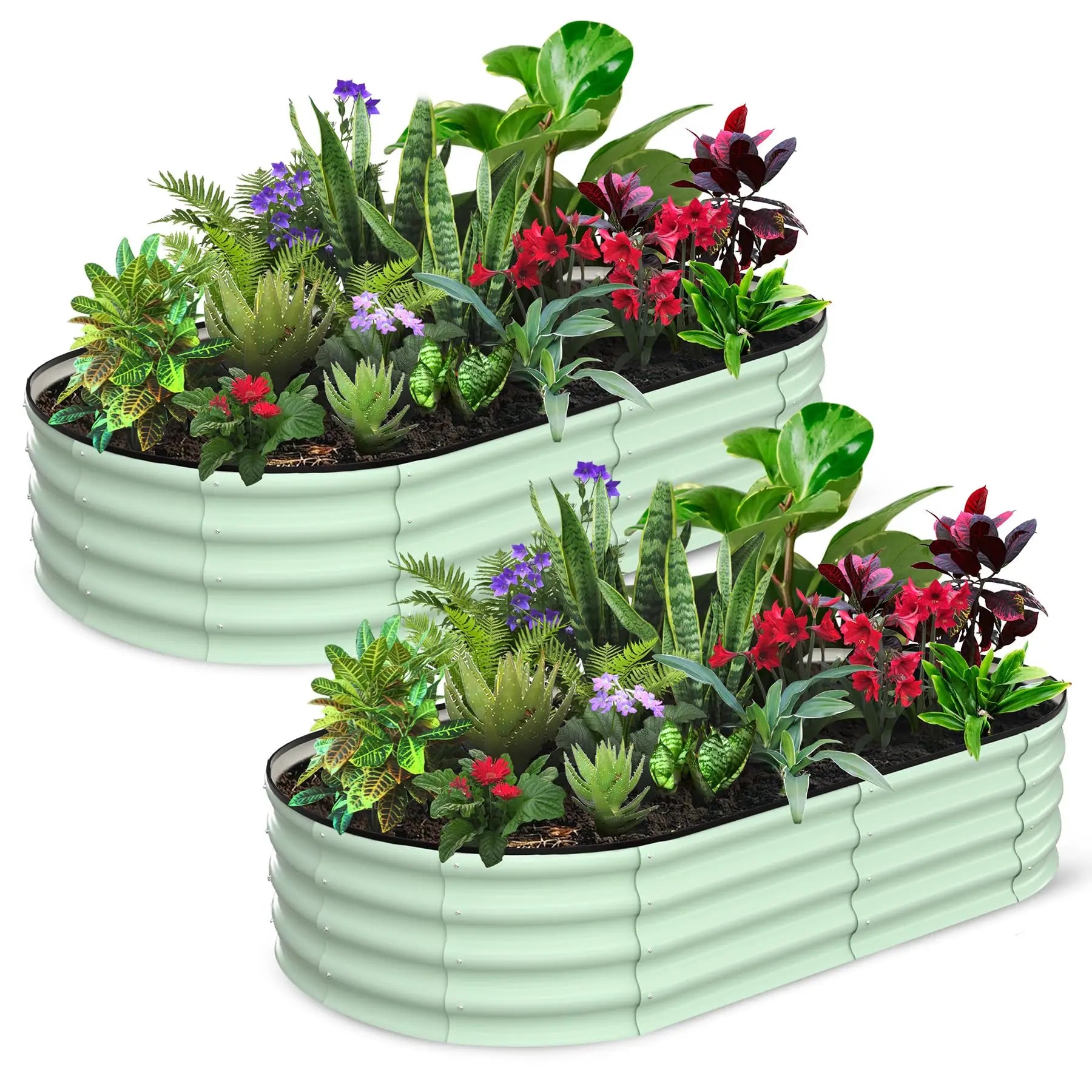2-Pack Oval Galvanized Steel Raised Garden Bed – Anti-Rust Metal Planter Box for Vegetables, Herbs & Flowers - Flexivo