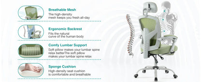 Ergonomic High-Back Mesh Office Chair with Lumbar Support